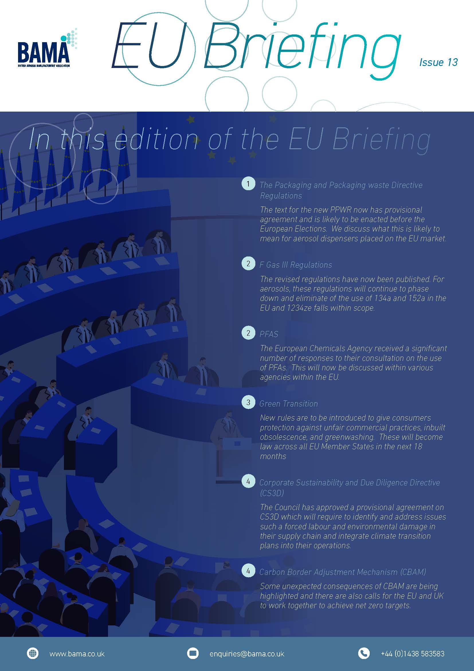 EU Briefing Issue 13
